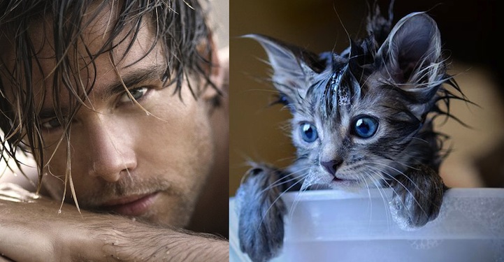 Handsome guy and kitten duo