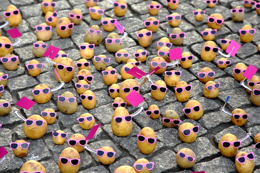 Peter Pink potato protest scene
