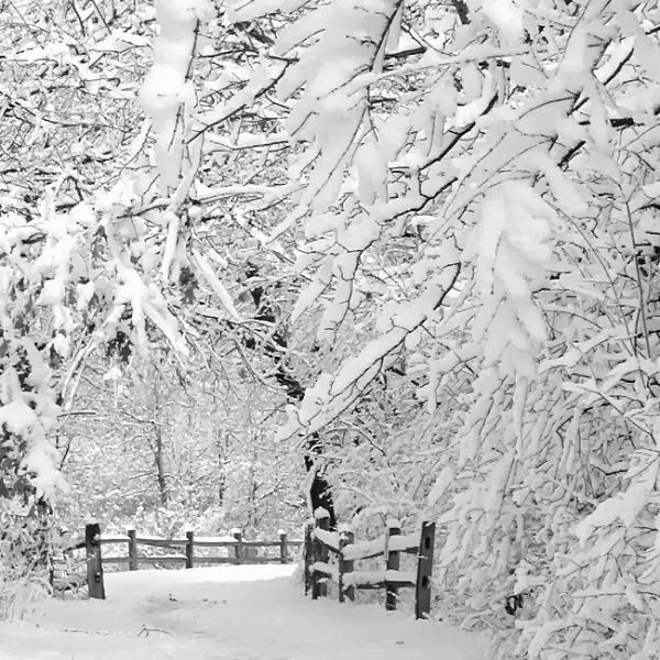 winterscapes03