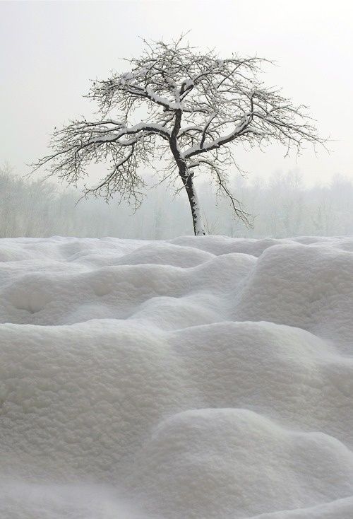 winterscapes14