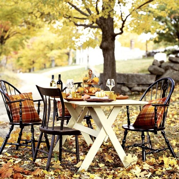 Beautiful autumn photograph