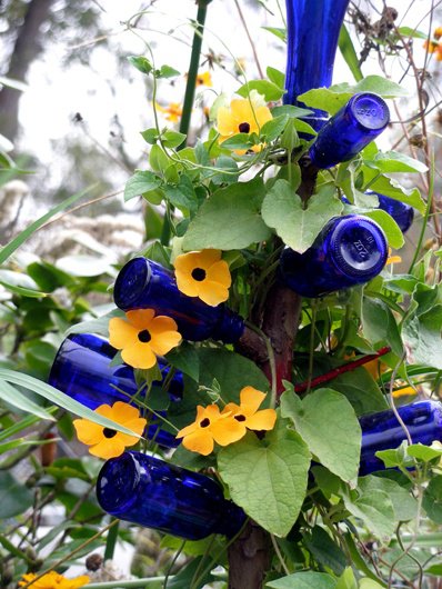 Bottle tree with vines