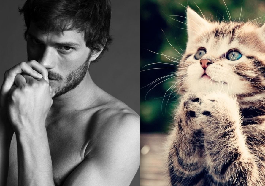 Des Hommes et des Chatons example