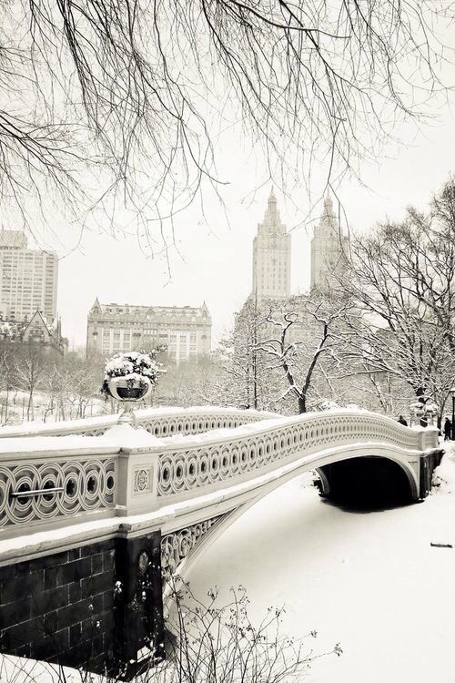 Central Park in winter snow