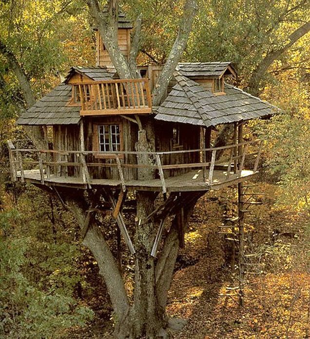 Tree house with distinctive exterior form