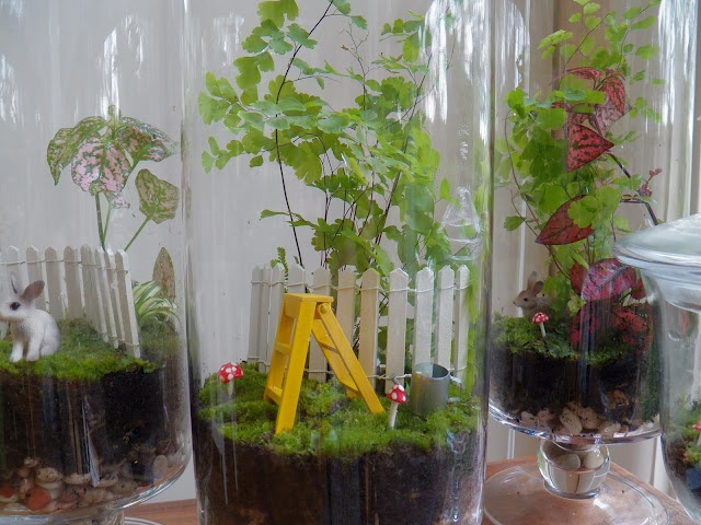 Styled terrarium with natural accents