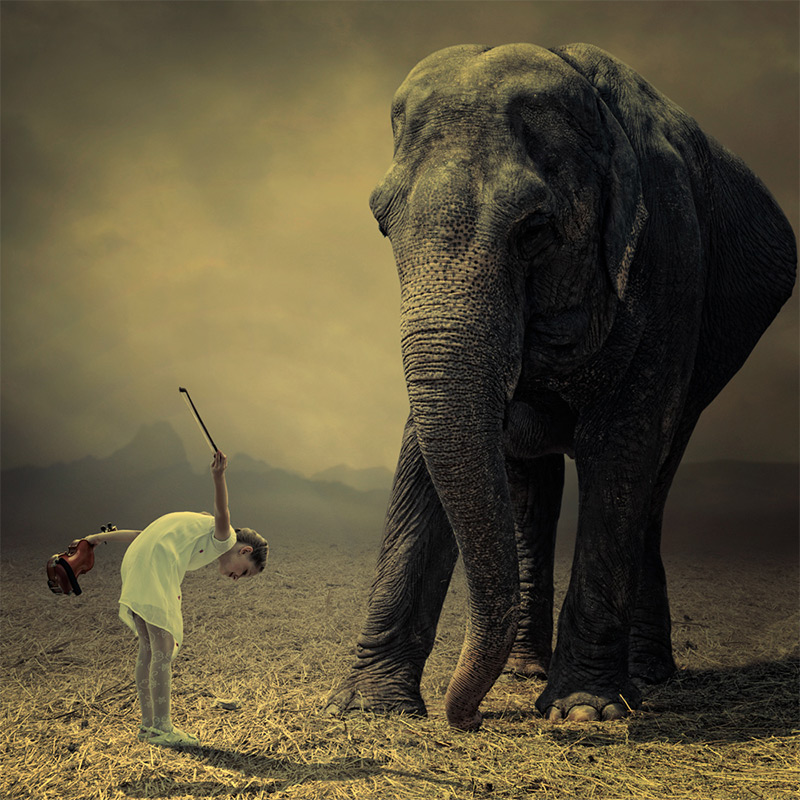 Photo manipulation artwork Caras Ionut