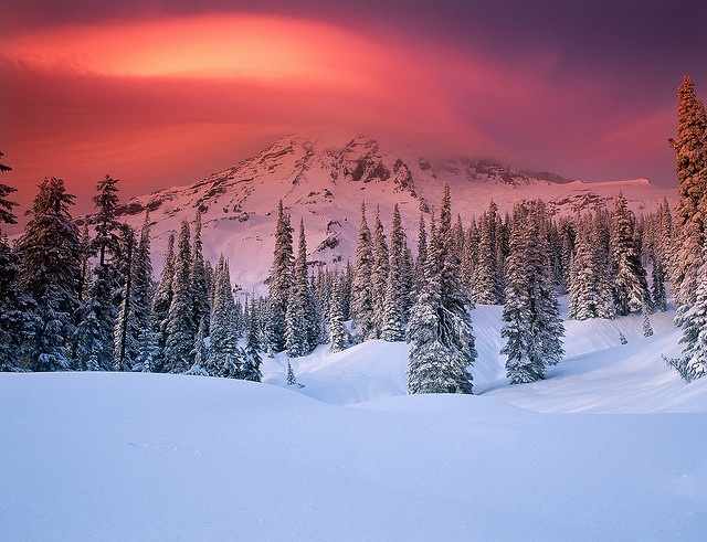 Dramatic sky over natural terrain