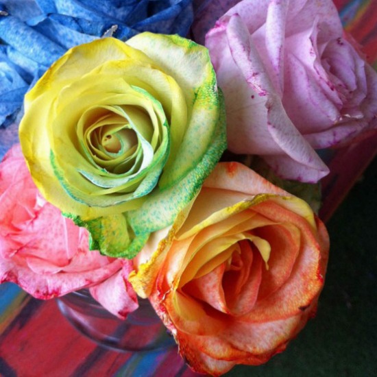 Tie-dye rainbow roses