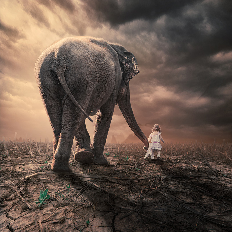 Caras Ionut dreamlike composite