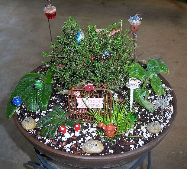 Fairy garden path and plants