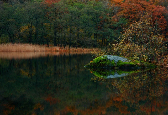 04landscape