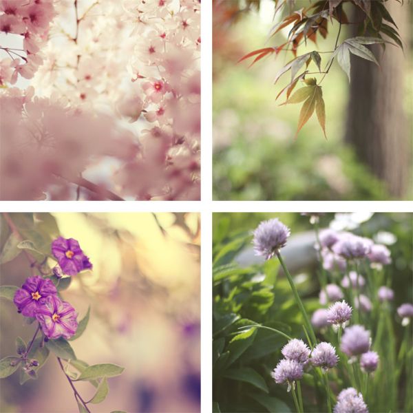 Floral romanticism by Liz Rusby