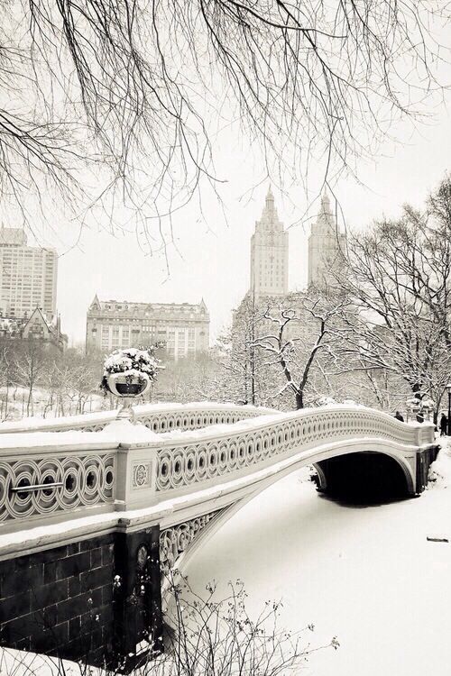 winterscapes36