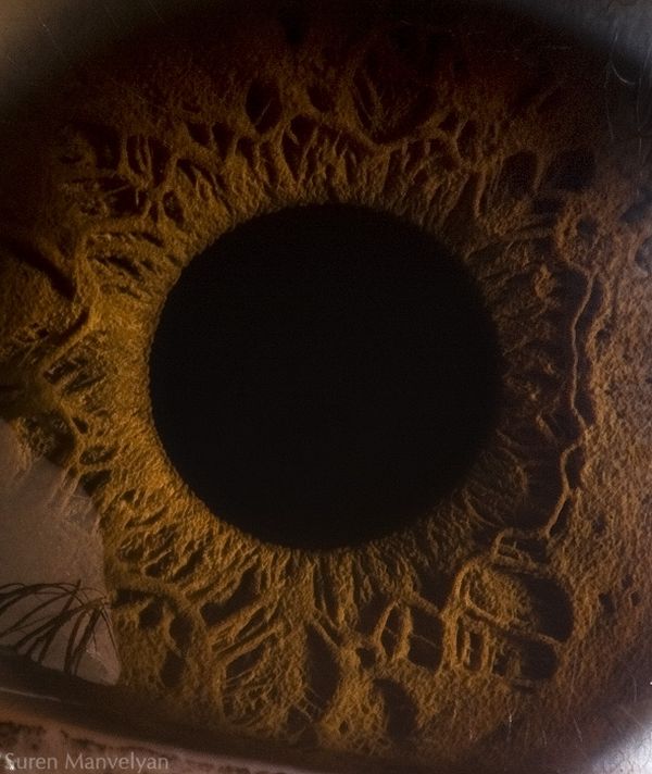 Detailed iris texture in Suren Manvelyan’s eye series
