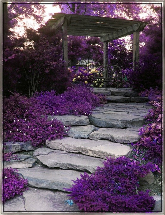 Purple fashion and decor mood
