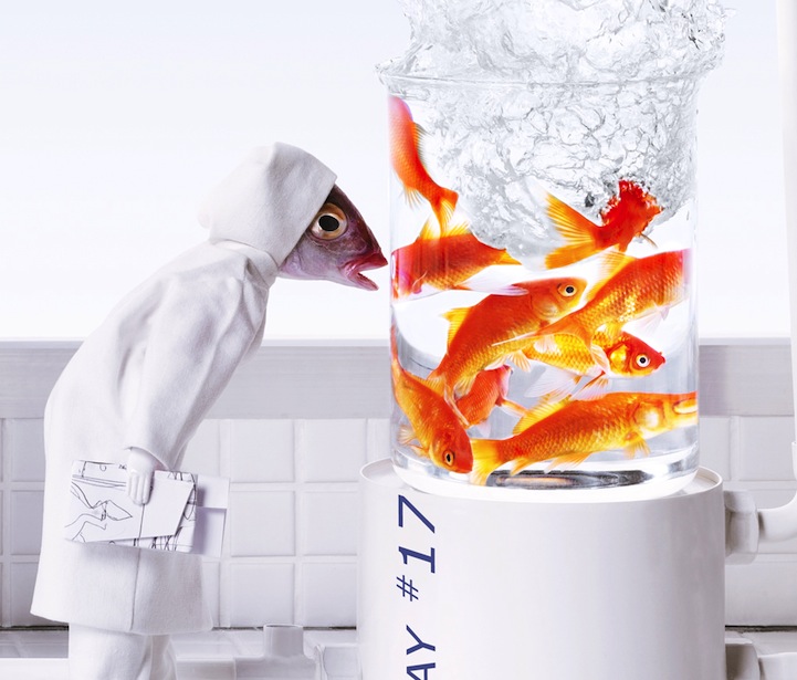 Staged everyday scene with fish heads by acbe