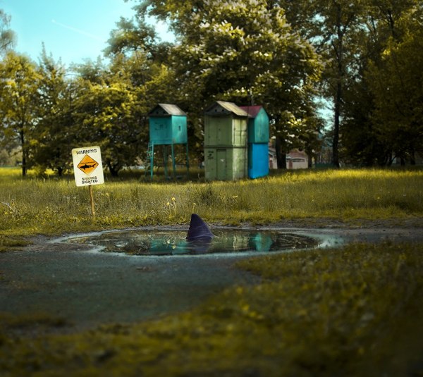 Atmospheric surreal image by Nikita Sergyshkin