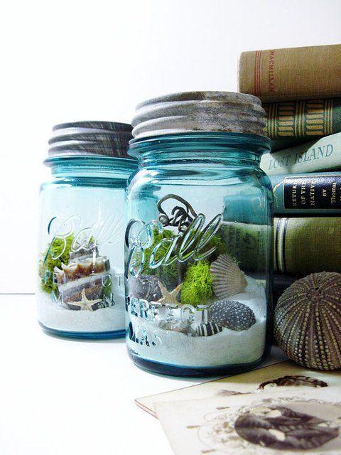 Maintained indoor terrarium plants