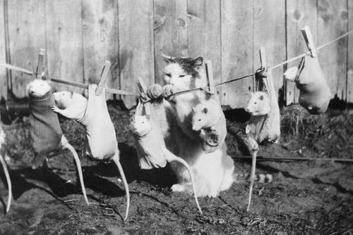 weird-vintage08