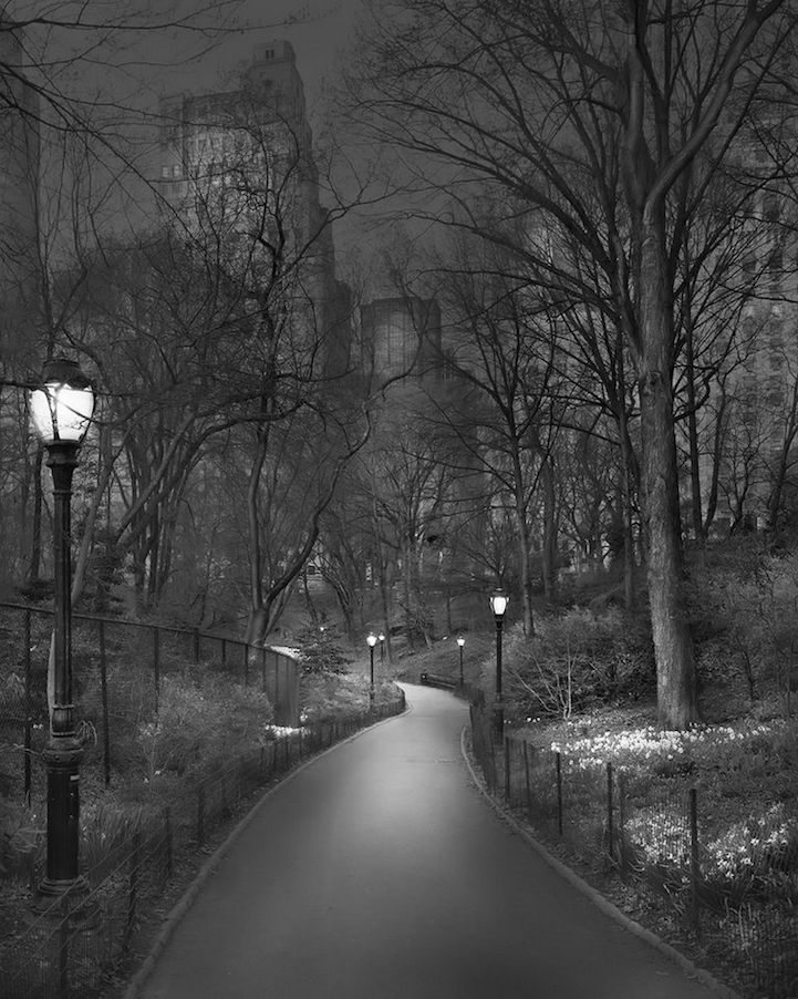 Central Park nocturnal landscape