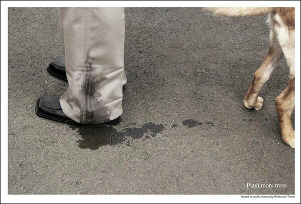 Culture-referencing advertisement