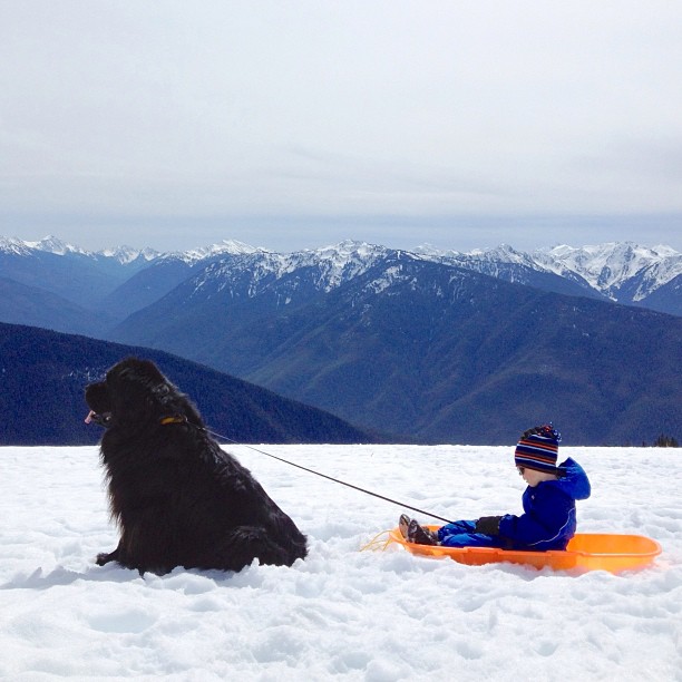 Boy and his best friend dog photo