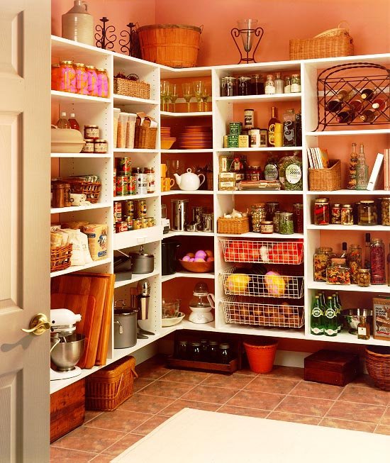 Neat pantry cabinet interior with categorized dry foods