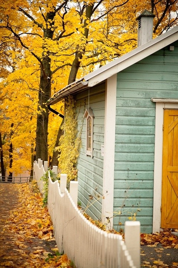 nature-outdoor-part210