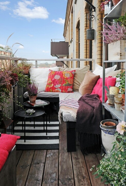 Balcony greenery against city backdrop