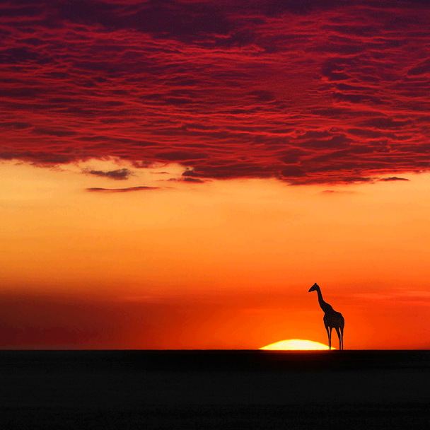 africa