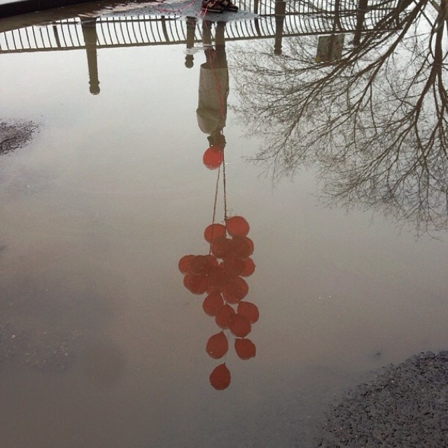 Puddle reflection by Joe Della Vedova