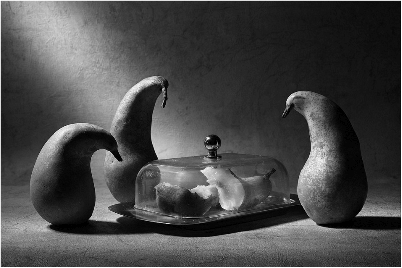 Conceptual photography Victoria Ivanova