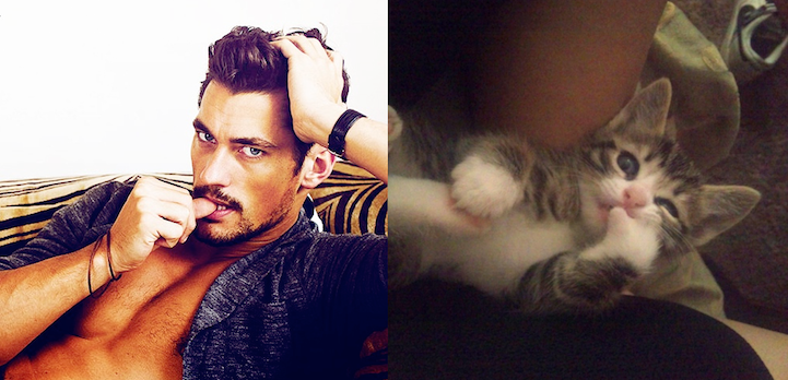 Fashion pose and kitten