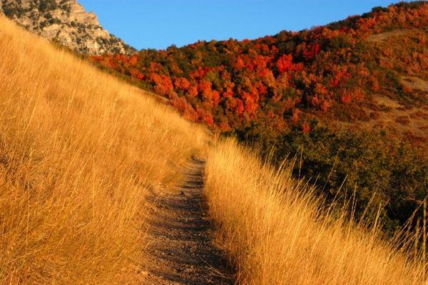 Autumn day landscape photograph