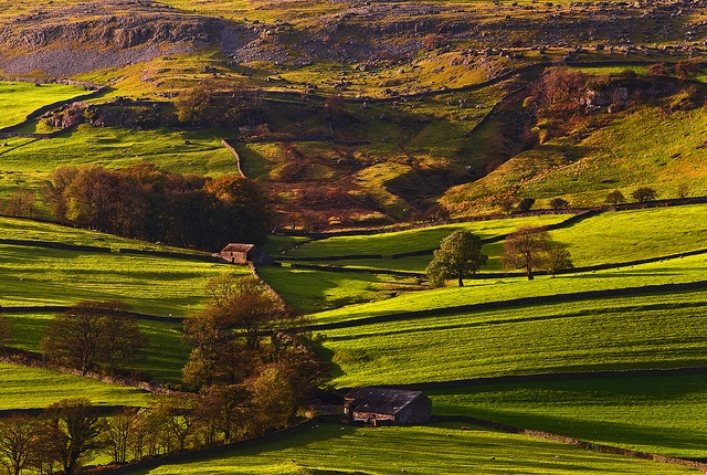 14landscape