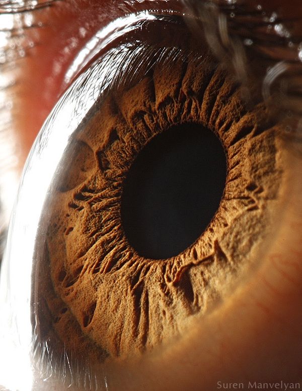 Extreme close-up of human eye iris by Suren Manvelyan