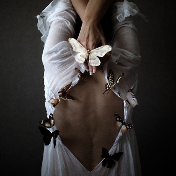 Final gallery image from Emmanuelle Brisson’s butterfly photography series