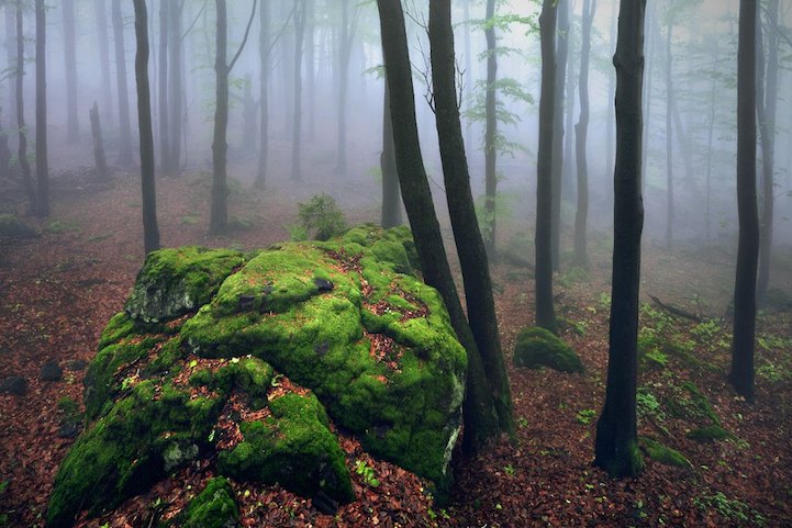 Haunting woodland architecture by Kilian Schönberger