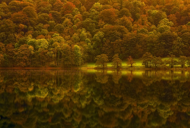 19landscape