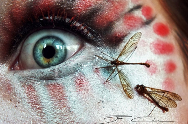 Early gallery piece of Svenja Schmitt eye makeup art