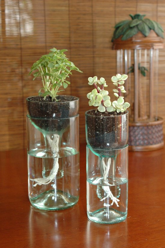 Self-watering planter from a recycled wine bottle
