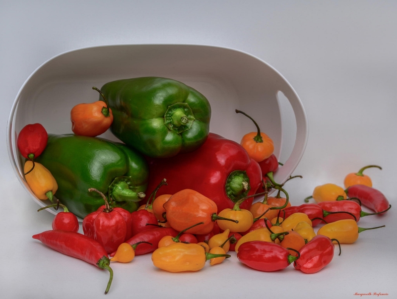 still-life08
