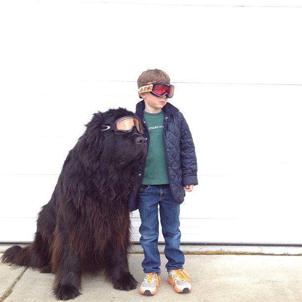Julian and Max friendship series