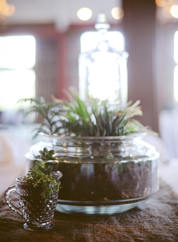 Building a layered glass terrarium