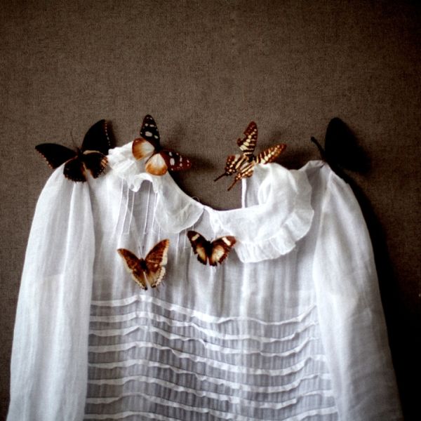 Woman and butterflies in a quiet outdoor photographic frame