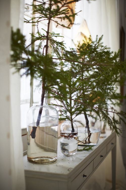 Mini Christmas tree gallery image