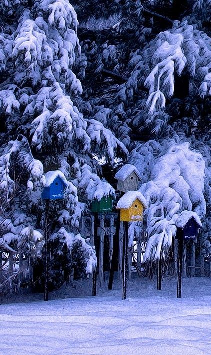 winterscapes32