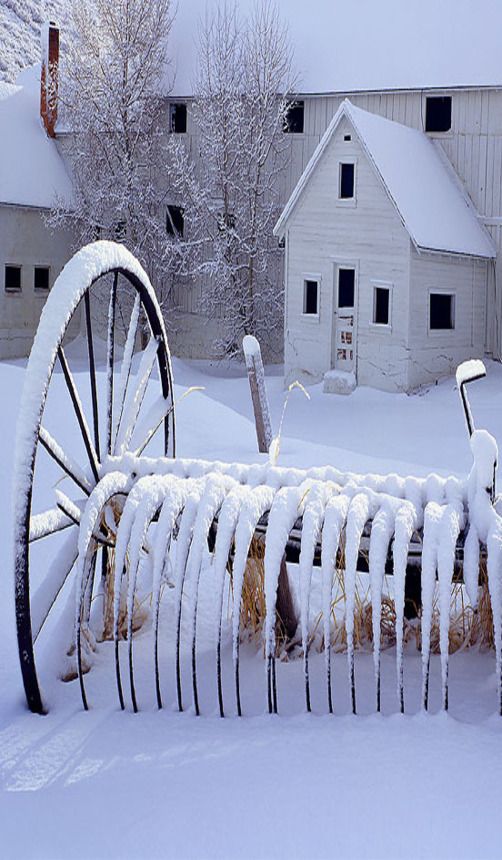 winterscapes38