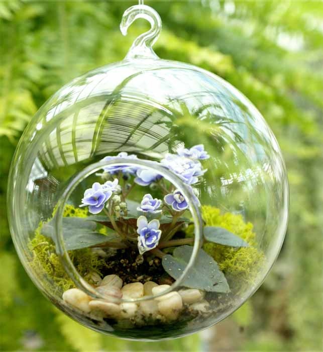 Succulent-style open terrarium